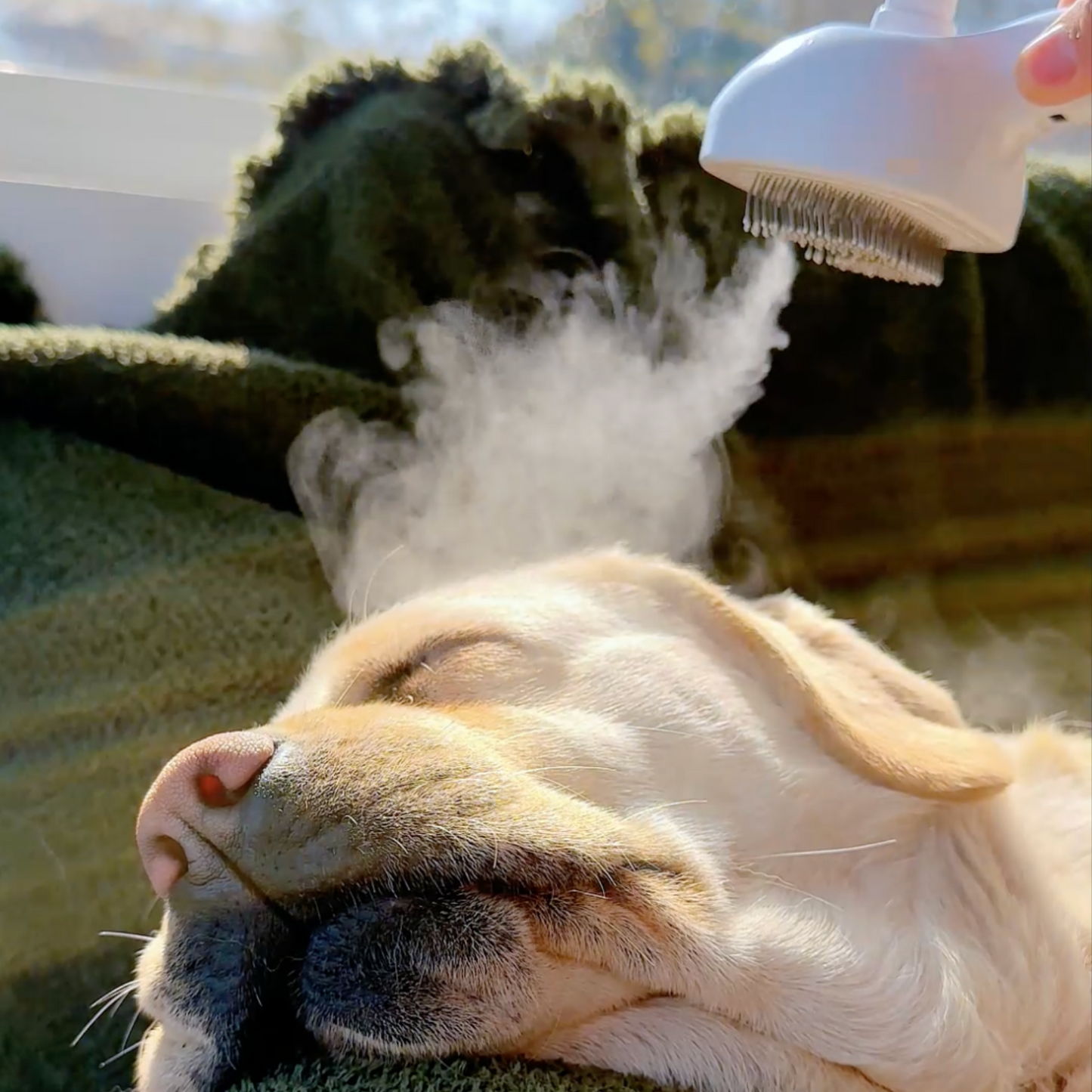 Lovilds™ Viral Steam Brush