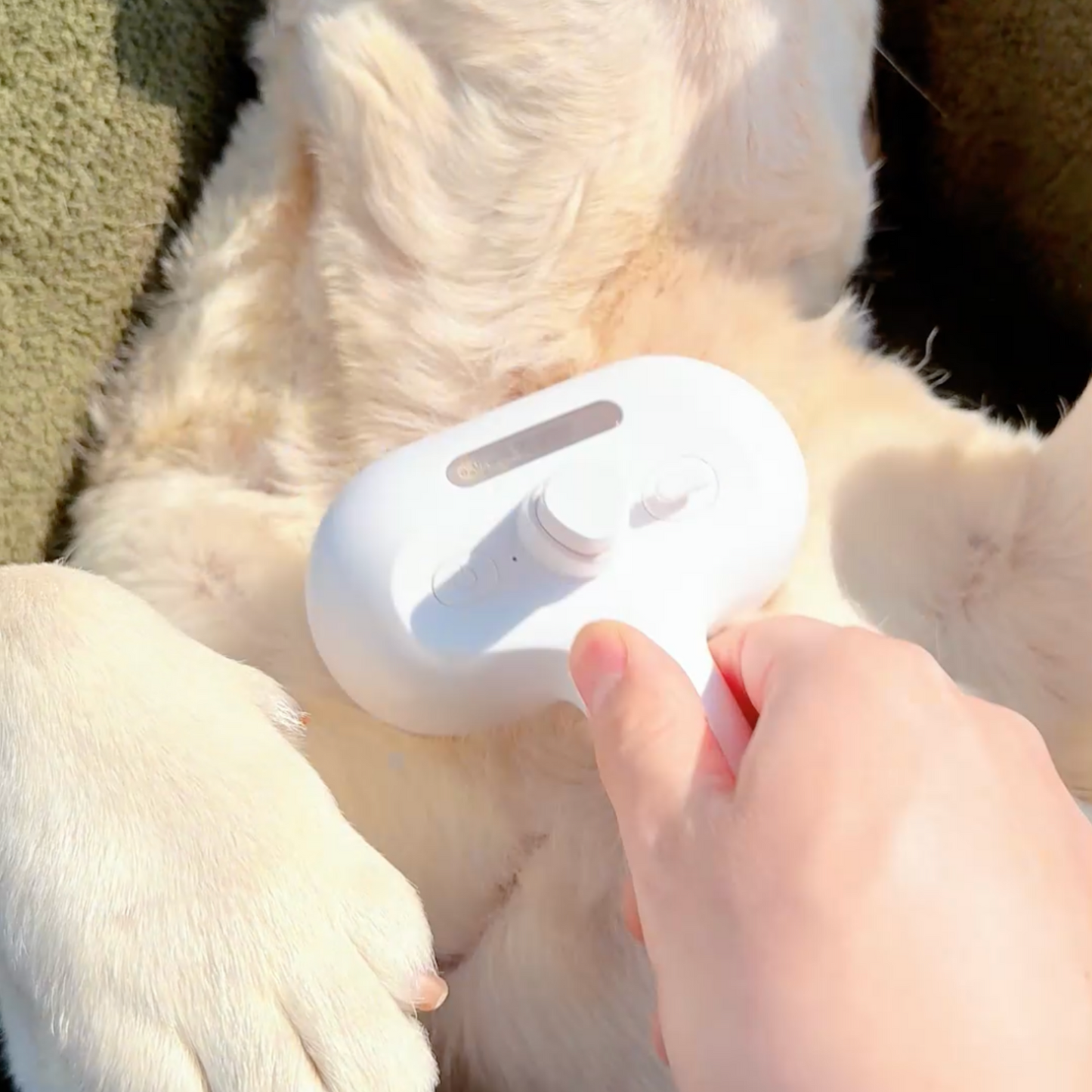 Lovilds™ Viral Steam Brush