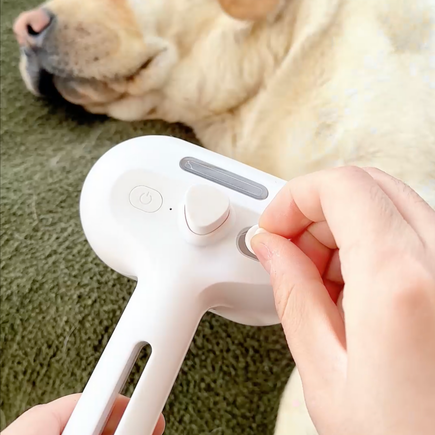 Lovilds™ Viral Steam Brush