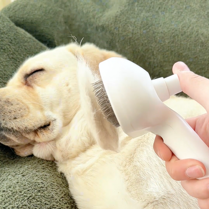 Lovilds™ Viral Steam Brush