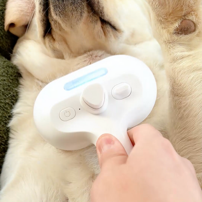 Lovilds™ Viral Steam Brush